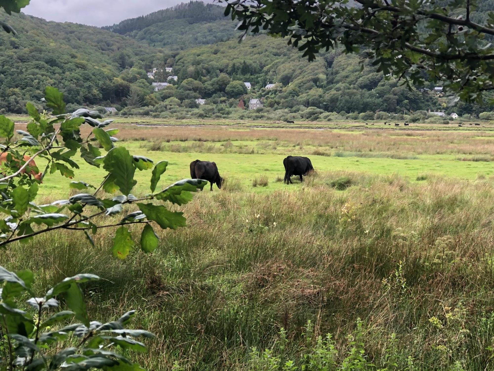 Snowdonia Mawddach Escape Villa Dolgellau Bagian luar foto